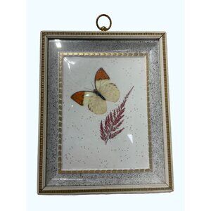 Vintage Butterfly Shadow Box Art Reliance Industries Glass Frame With Gold Detai
